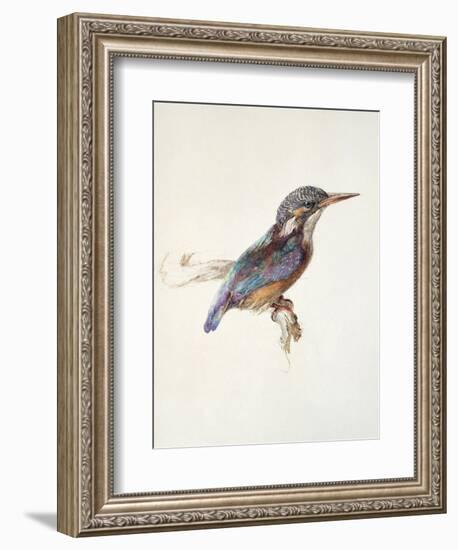 Study of a Kingfisher, with Dominant Reference to Colour, Probably October 1871-John Ruskin-Framed Giclee Print