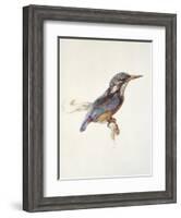 Study of a Kingfisher, with Dominant Reference to Colour, Probably October 1871-John Ruskin-Framed Giclee Print