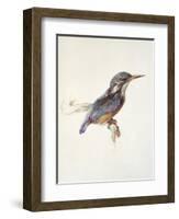 Study of a Kingfisher, with Dominant Reference to Colour, Probably October 1871-John Ruskin-Framed Giclee Print