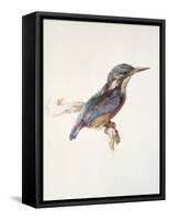 Study of a Kingfisher, with Dominant Reference to Colour, Probably October 1871-John Ruskin-Framed Stretched Canvas