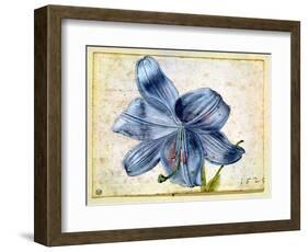 Study of a Lily, 1526-Albrecht Dürer-Framed Giclee Print