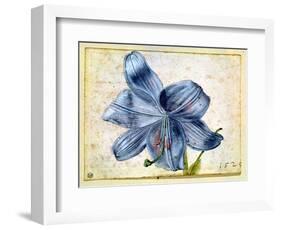 Study of a Lily, 1526-Albrecht Dürer-Framed Giclee Print