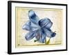 Study of a Lily, 1526-Albrecht Dürer-Framed Giclee Print