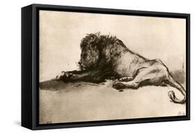 Study of a Lion, 1913-Rembrandt van Rijn-Framed Stretched Canvas