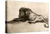 Study of a Lion, 1913-Rembrandt van Rijn-Stretched Canvas