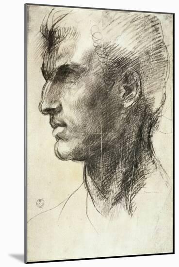 Study of a Male Head-Andrea del Sarto-Mounted Giclee Print