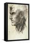 Study of a Male Head-Andrea del Sarto-Framed Stretched Canvas