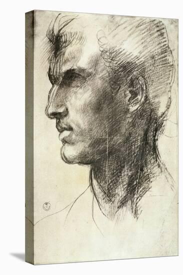 Study of a Male Head-Andrea del Sarto-Stretched Canvas