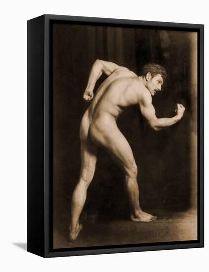 Study of a Male Nude, C.1900-Wilhelm Von Gloeden-Framed Stretched Canvas