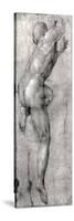 Study of a Male Nude-Michelangelo Buonarroti-Stretched Canvas