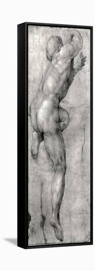 Study of a Male Nude-Michelangelo Buonarroti-Framed Stretched Canvas