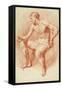 Study of a Male Nude-Adriaen van de Velde-Framed Stretched Canvas
