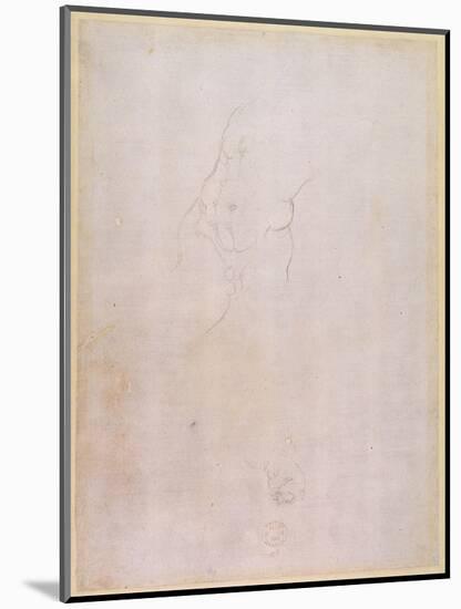 Study of a Male Torso (Pencil on Paper) (Verso) (For Recto See 192512)-Michelangelo Buonarroti-Mounted Premium Giclee Print