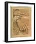 Study of a Man's Hands-null-Framed Giclee Print
