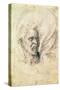Study of a Man Shouting-Michelangelo Buonarroti-Stretched Canvas
