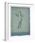 Study of a Nude Figure (Juggler)-Frederick Leighton-Framed Giclee Print