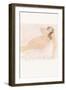 Study of a Nude (Lying on Side)-Auguste Rodin-Framed Premium Giclee Print