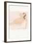 Study of a Nude (Lying on Side)-Auguste Rodin-Framed Giclee Print