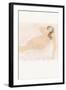 Study of a Nude (Lying on Side)-Auguste Rodin-Framed Giclee Print