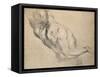 Study of a Nude Male Torso-Peter Paul Rubens-Framed Stretched Canvas