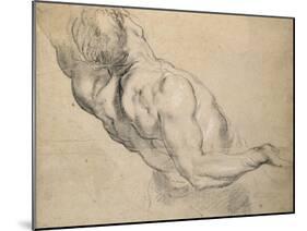 Study of a Nude Male Torso-Peter Paul Rubens-Mounted Giclee Print