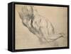 Study of a Nude Male Torso-Peter Paul Rubens-Framed Stretched Canvas