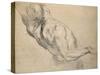 Study of a Nude Male Torso-Peter Paul Rubens-Stretched Canvas