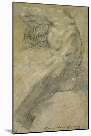 Study of a Nude Man-Annibale Carracci-Mounted Giclee Print