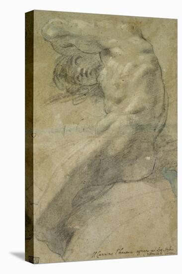 Study of a Nude Man-Annibale Carracci-Stretched Canvas