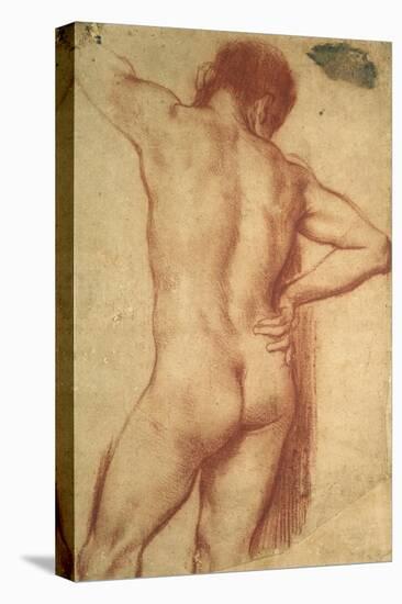 Study of a Nude Man-Annibale Carracci-Stretched Canvas