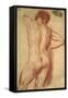 Study of a Nude Man-Annibale Carracci-Framed Stretched Canvas