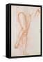 Study of a Pair of Legs and Two Feet for a Figure of St. Michael-Jacopo da Carucci Pontormo-Framed Stretched Canvas