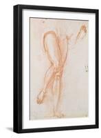 Study of a Pair of Legs and Two Feet for a Figure of St. Michael-Jacopo da Carucci Pontormo-Framed Giclee Print