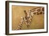 Study of a Parental Bonds-James W. Johnson-Framed Giclee Print