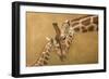 Study of a Parental Bonds-James W. Johnson-Framed Giclee Print