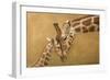 Study of a Parental Bonds-James W. Johnson-Framed Giclee Print