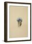 Study of a Peacock Feather, 1873-John Ruskin-Framed Giclee Print