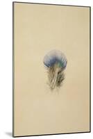 Study of a Peacock Feather, 1873-John Ruskin-Mounted Giclee Print