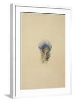 Study of a Peacock Feather, 1873-John Ruskin-Framed Giclee Print