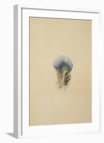 Study of a Peacock Feather, 1873-John Ruskin-Framed Giclee Print