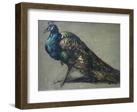 Study of a Peacock for 'The Judgement of Paris'-William Etty-Framed Giclee Print