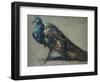 Study of a Peacock for 'The Judgement of Paris'-William Etty-Framed Giclee Print