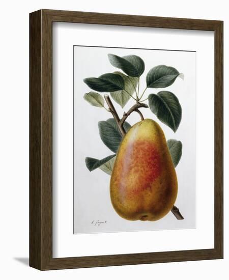 Study of a Pear-Adrienne Faguet-Framed Giclee Print