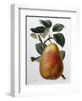 Study of a Pear-Adrienne Faguet-Framed Giclee Print