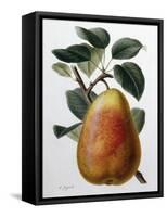 Study of a Pear-Adrienne Faguet-Framed Stretched Canvas