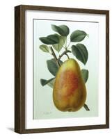 Study of a Pear-Adrienne Faguet-Framed Giclee Print