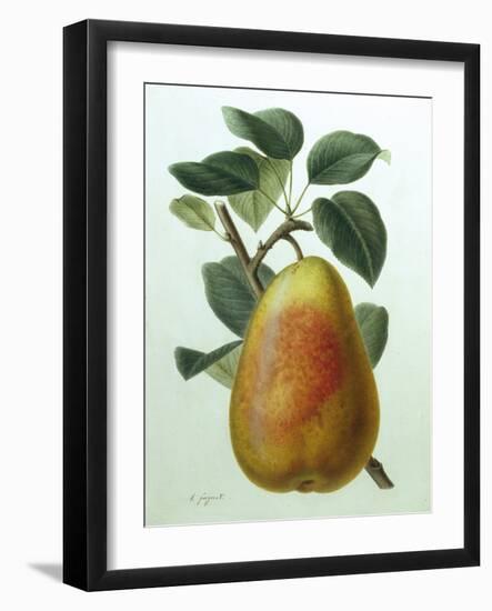 Study of a Pear-Adrienne Faguet-Framed Giclee Print