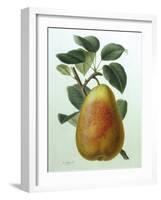 Study of a Pear-Adrienne Faguet-Framed Giclee Print