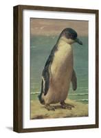Study of a Penguin-Henry Stacey Marks-Framed Giclee Print