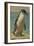 Study of a Penguin-Henry Stacey Marks-Framed Giclee Print